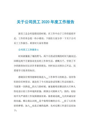 关于公司员工2020年度工作报告.doc