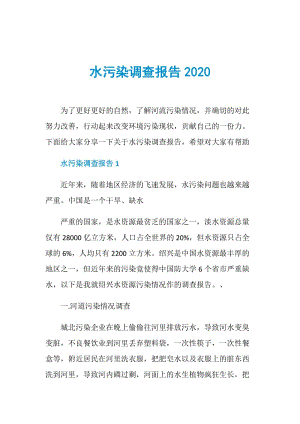 水污染调查报告2020.doc