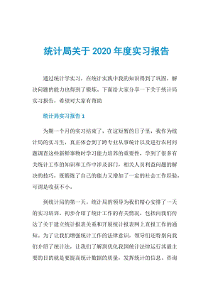 统计局关于2020年度实习报告.doc