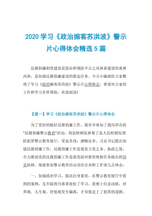 2020学习《政治掮客苏洪波》警示片心得体会精选5篇.doc