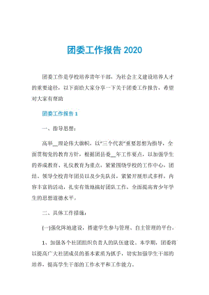 团委工作报告2020.doc