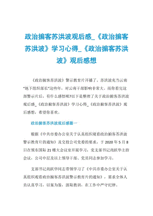 政治掮客苏洪波观后感_《政治掮客苏洪波》学习心得_《政治掮客苏洪波》观后感想.doc