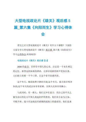 大型电视政论片《雄关》观后感5篇_第六集《向阳而生》学习心得体会.doc