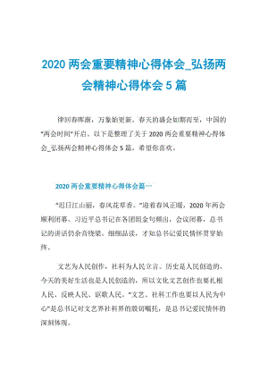 2020两会重要精神心得体会_弘扬两会精神心得体会5篇.doc