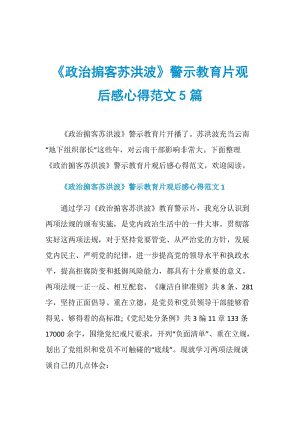 《政治掮客苏洪波》警示教育片观后感心得范文5篇.doc