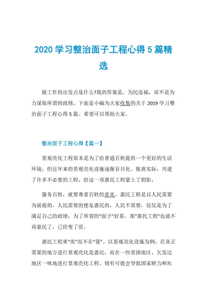 2020学习整治面子工程心得5篇精选.doc