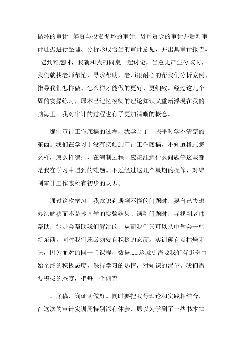 审计实习报告2020范文大全.doc_第2页