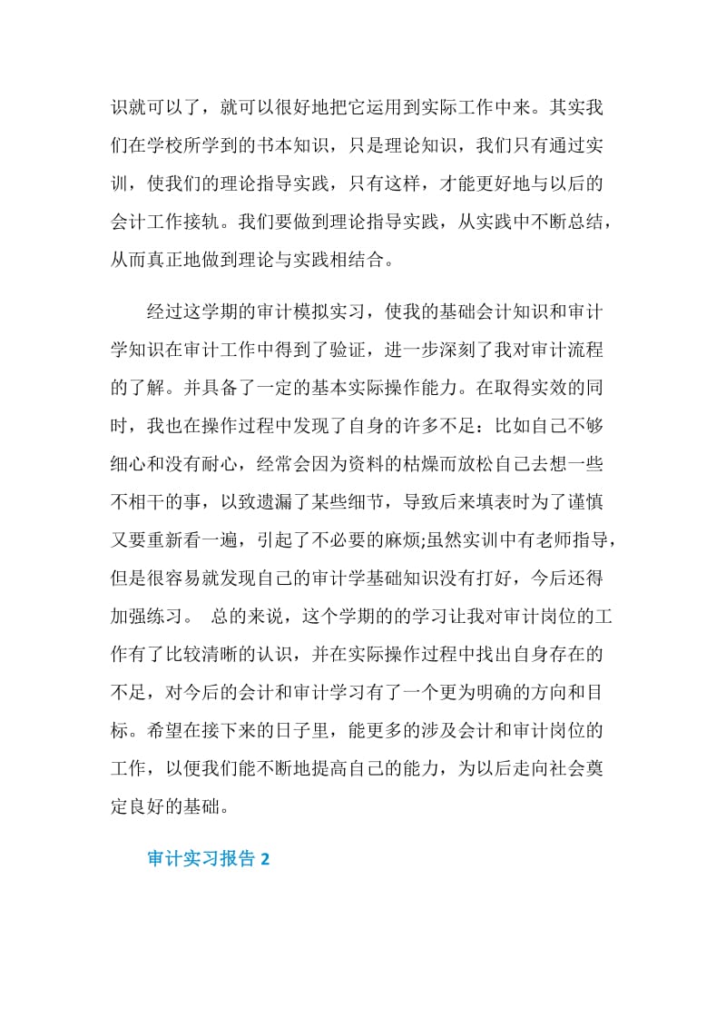 审计实习报告2020范文大全.doc_第3页