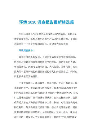 环境2020调查报告最新精选篇.doc