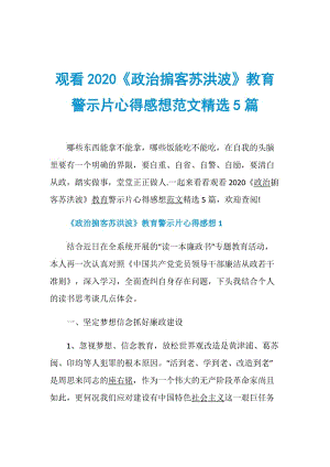 观看2020《政治掮客苏洪波》教育警示片心得感想范文精选5篇.doc