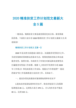 2020精准扶贫工作计划范文最新大全5篇.doc