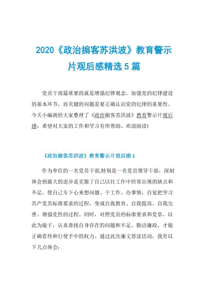 2020《政治掮客苏洪波》教育警示片观后感精选5篇.doc