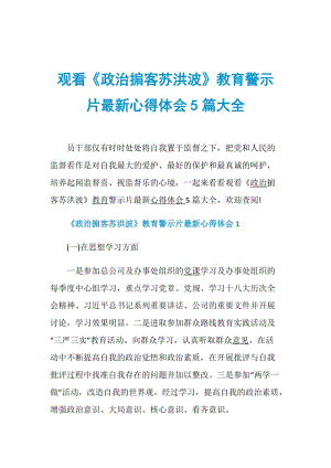 观看《政治掮客苏洪波》教育警示片最新心得体会5篇大全.doc