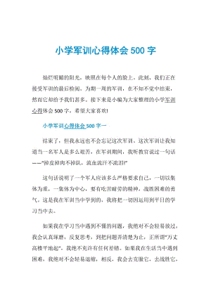 小学军训心得体会500字.doc