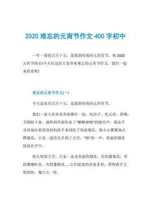 2020难忘的元宵节作文400字初中.doc