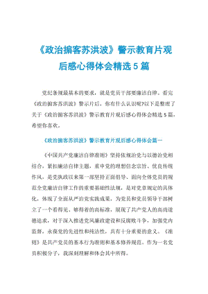 《政治掮客苏洪波》警示教育片观后感心得体会精选5篇.doc