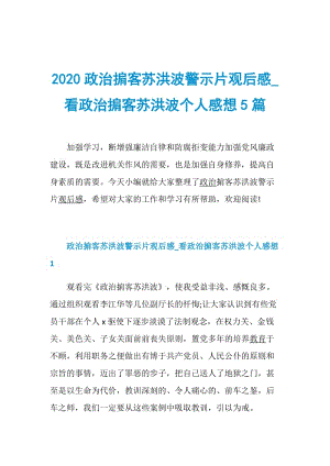 2020政治掮客苏洪波警示片观后感_看政治掮客苏洪波个人感想5篇.doc