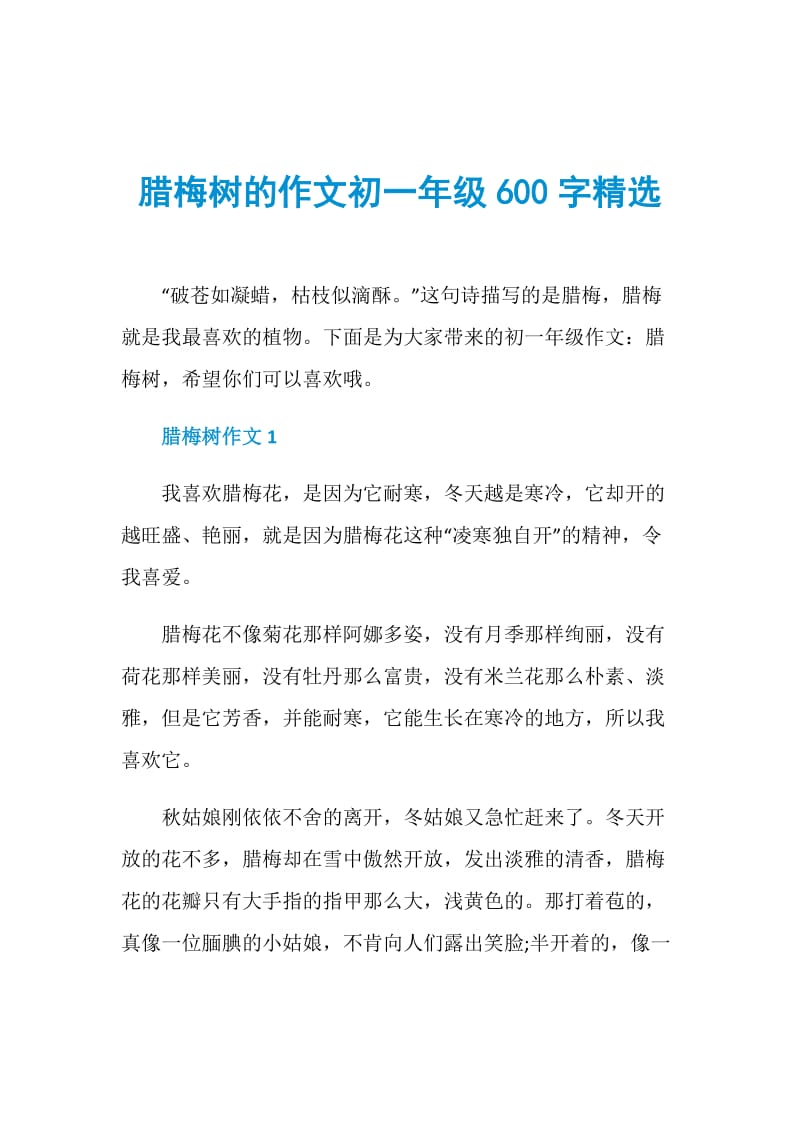 腊梅树的作文初一年级600字精选.doc_第1页