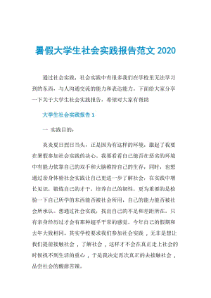 暑假大学生社会实践报告范文2020.doc