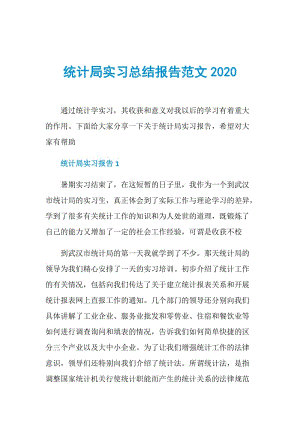 统计局实习总结报告范文2020.doc