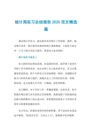 统计局实习总结报告2020范文精选篇.doc