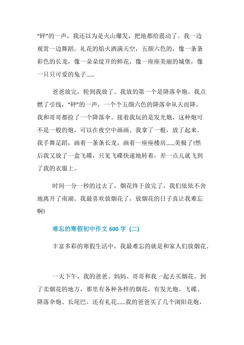 难忘的寒假初中作文600字5篇.doc_第2页