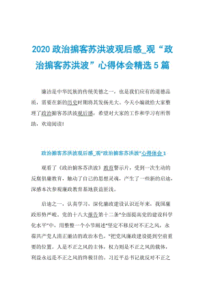 2020政治掮客苏洪波观后感_观“政治掮客苏洪波”心得体会精选5篇.doc