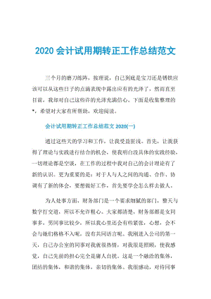 2020会计试用期转正工作总结范文.doc