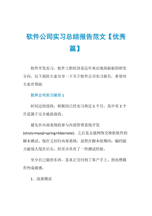 软件公司实习总结报告范文【优秀篇】.doc