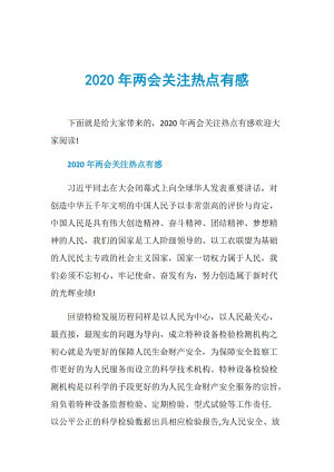 2020年两会关注热点有感.doc