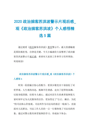 2020政治掮客苏洪波警示片观后感_观《政治掮客苏洪波》个人感悟精选5篇.doc