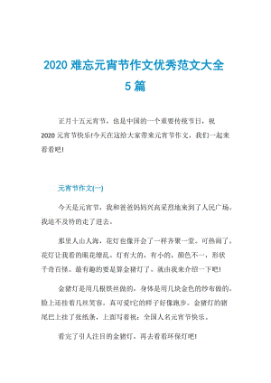 2020难忘元宵节作文优秀范文大全5篇-.doc