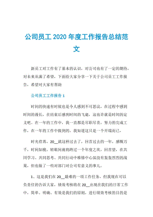 公司员工2020年度工作报告总结范文.doc