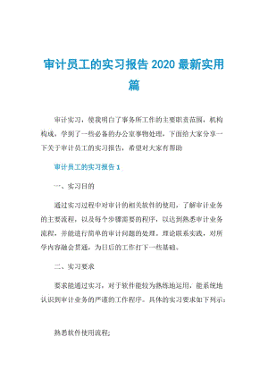 审计员工的实习报告2020最新实用篇.doc