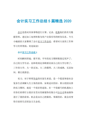 会计实习工作总结5篇精选2020.doc