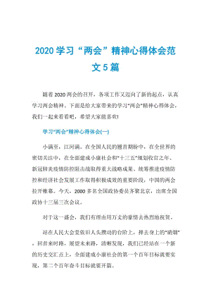 2020学习“两会”精神心得体会范文5篇.doc