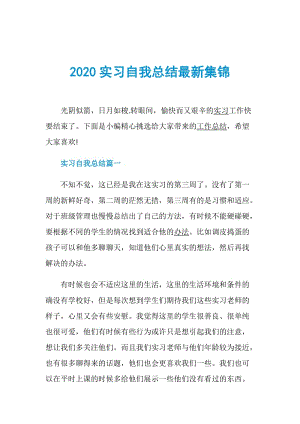 2020实习自我总结最新集锦.doc