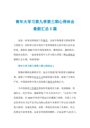 青年大学习第九季第三期心得体会最新汇总5篇.doc