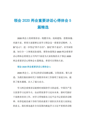 领会2020两会重要讲话心得体会5篇精选.doc