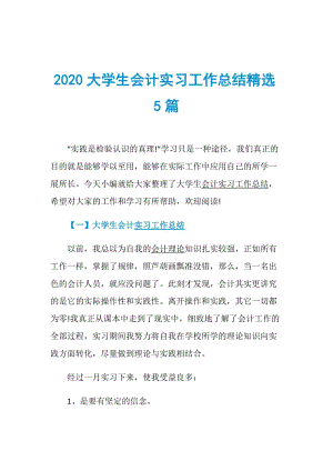 2020大学生会计实习工作总结精选5篇.doc