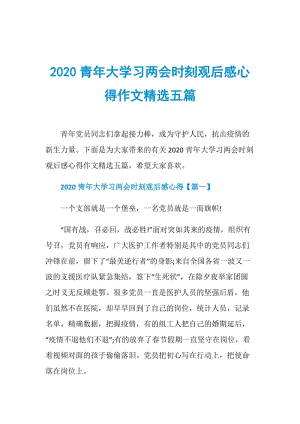 2020青年大学习两会时刻观后感心得作文精选五篇.doc