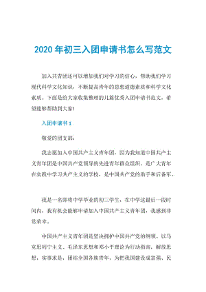 2020年初三入团申请书怎么写范文.doc