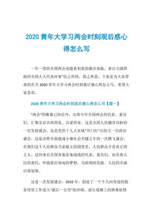 2020青年大学习两会时刻观后感心得怎么写.doc