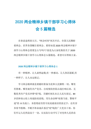 2020两会精神乡镇干部学习心得体会5篇精选.doc