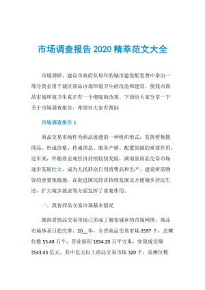 市场调查报告2020精萃范文大全.doc