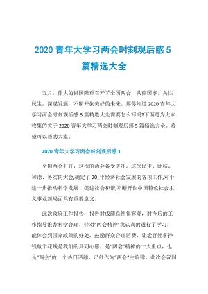 2020青年大学习两会时刻观后感5篇精选大全.doc