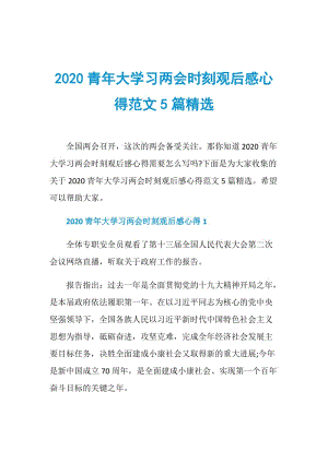 2020青年大学习两会时刻观后感心得范文5篇精选.doc