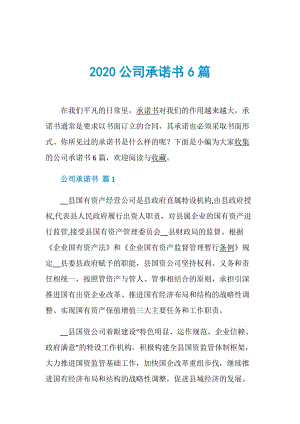 2020公司承诺书6篇.doc