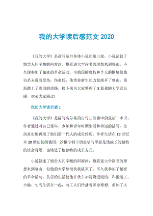 我的大学读后感范文2020.doc