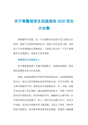 关于寒暑假学生实践报告2020范文大合集.doc